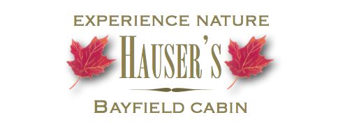 Hauser's Bayfield Cabin