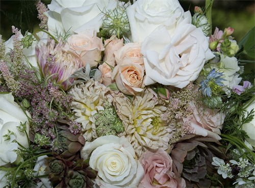 Gallery Image July_2019_bouquet.png Gallery Image July_2019_bouquet.png