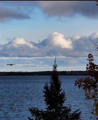 Dramatic views of Madeline Island and the nesting eagles