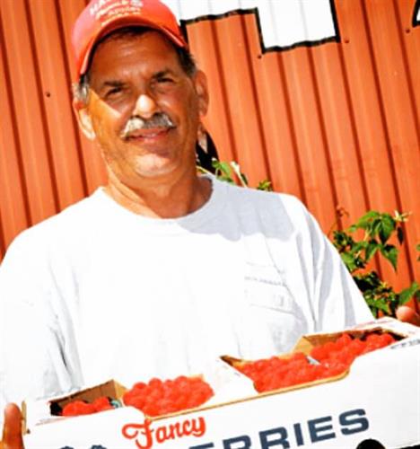 Jim Hauser of Hauser's Farm in Bayfield, WI has lots of delicious raspberries. Jim Hauser of Hauser's Farm in Bayfield, WI has lots of delicious raspberries.