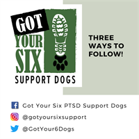 Got your Six Support Dogs