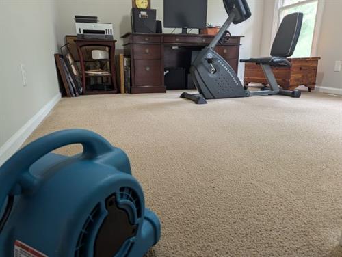 Carpet Protecting Carpet Protecting