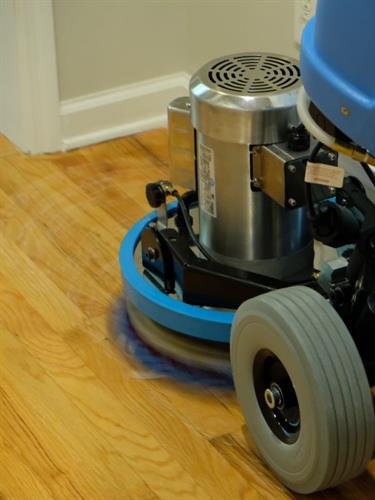Hardwood Buffing