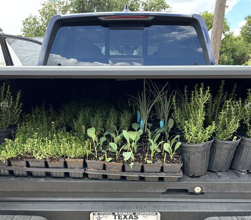 It's Saturday! Come see us at Angelina County Farmer's Market for our organic herbs and Nature's Way Resource's organic compost and mulch!