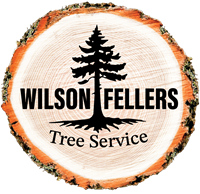 Wilson Fellers Tree Service