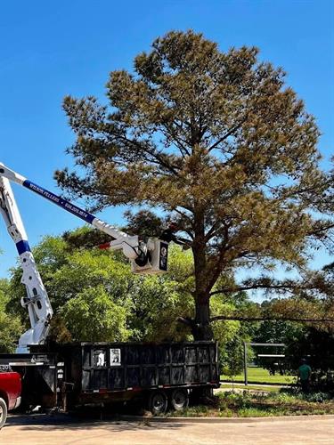 Gallery Image 1000034565.jpg