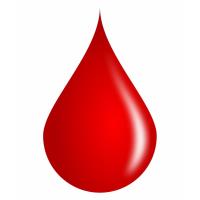 Anytime Fitness Blood Drive
