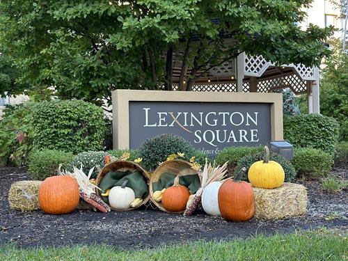 Welcome to Lexington Square 