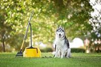 Pet Waste Remover