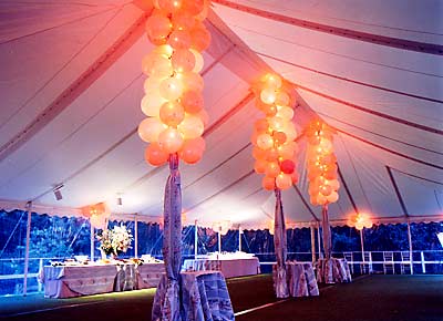 Gallery Image tent_decorations.jpg