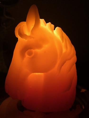 Horse Beeswax Candle while burning