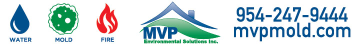 MVP Environmental Solutions, Inc