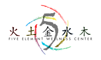 Five Element Wellness Center Body Transformation Seminar