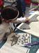 Event at Lake Country Fine Arts School & Gallery  "Art-kid-tecture"