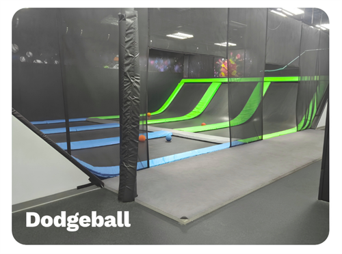Dodgeball Court - Will your team win?