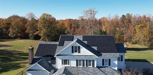 Gallery Image Carol_Strauss.JPG