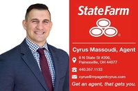 Cyrus Massoudi State Farm