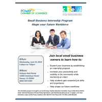 Small Business Internship Program