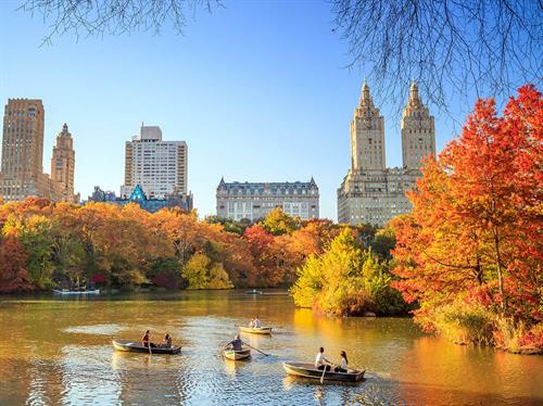 NYC - Central Park