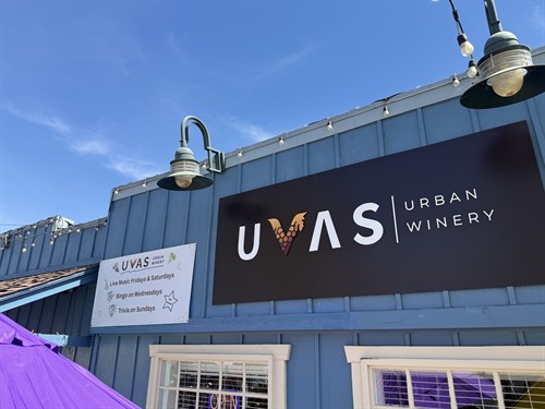 Gallery Image IMG_4911.jpeg