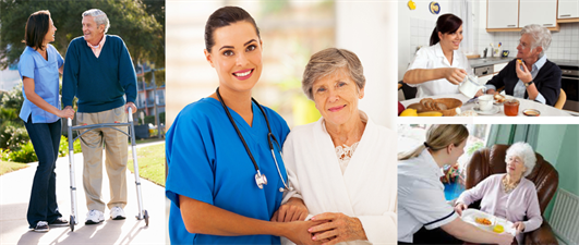 Helpful Hands Home Care Services