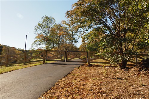 Gallery Image PA190220.JPG