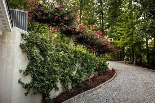 Gallery Image Design-Build_18.jpg