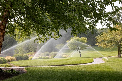 Gallery Image Irrigation_2.jpg