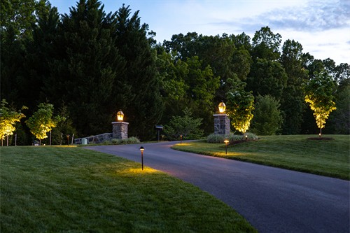 Gallery Image Lighting_5.jpg