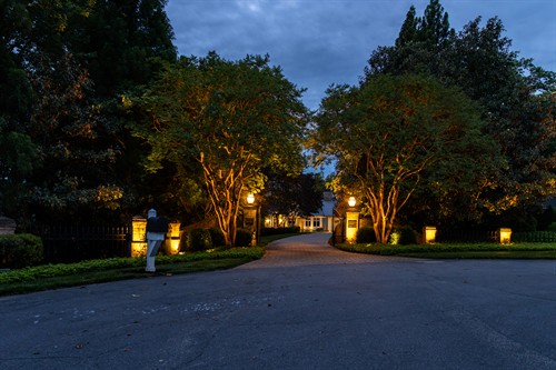 Gallery Image Lighting_6.jpg