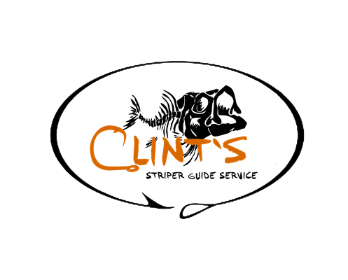 Clint's Striper Guide Service Clint's Striper Guide Service