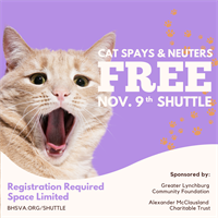 Cat Spay/Neuters are FREE, November BHS Shuttle