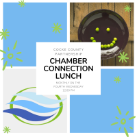 4th Wednesday Chamber Connection Lunch 