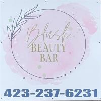 Grand Opening Blush Beauty Bar 