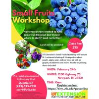 UT Extension Small Fruits Workshop 