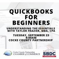 QuickBooks for Beginners: Understanding the Essentials