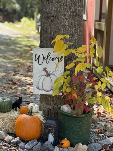 Experience fall in the Smokies. Experience fall in the Smokies.