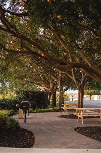 Gallery Image Landscape-17.jpg