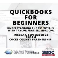 QuickBooks for Beginners: Understanding the Essentials
