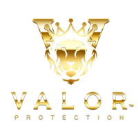 Valor Protection Security Agency