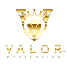 Valor Protection Security Agency