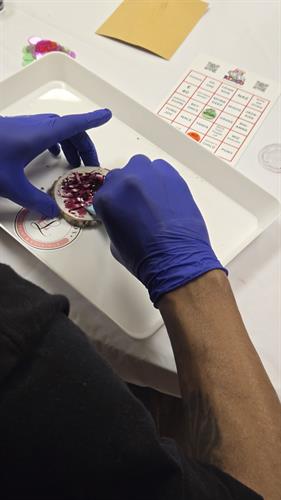 Gallery Image 20250912_193304.jpg