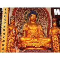 China Tour Information
