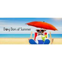 Celebrate the Dog Days of Summer