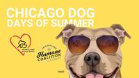 Fees Waived for Select Chicago Dogs