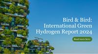 Bird & Bird's International Green Hydrogen Report 2024