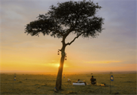 Safari Consultants: Top 3 Iconic Safari Destinations in Africa to visit, presented by Safari Consultants