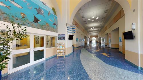 Gallery Image Concourse.jpg