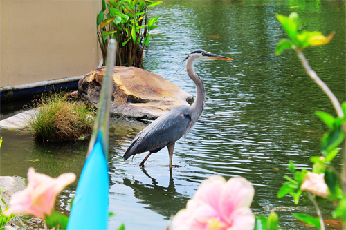 Gallery Image 3.png