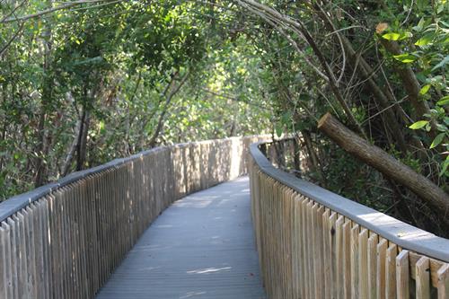 Gallery Image IMG_5799.JPG